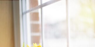 Kwiaty do biura przy długiej nieobecności: dobór